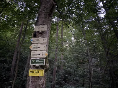 Foto z treku