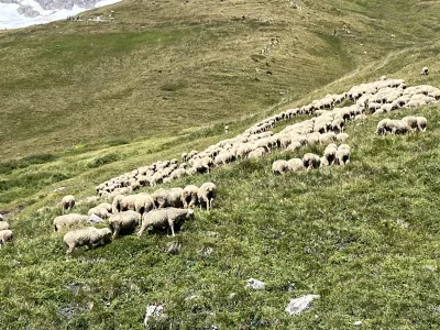 Foto z treku