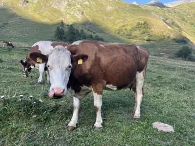 Foto z treku