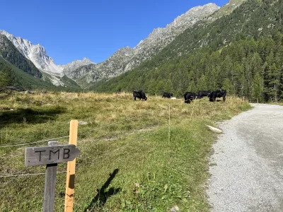 Foto z treku