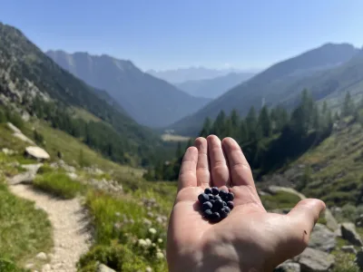 Foto z treku
