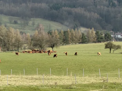 Foto z treku