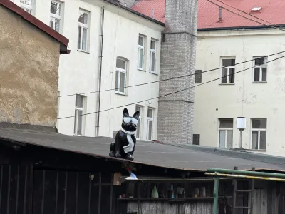 Foto z treku
