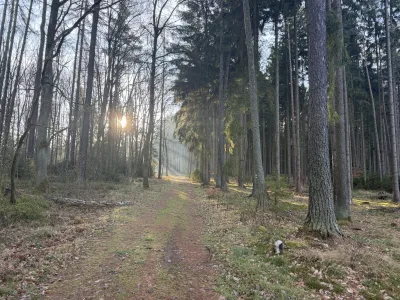 Foto z treku