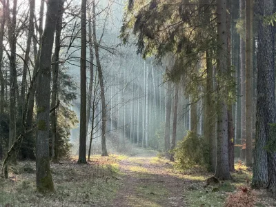 Foto z treku