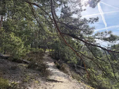 Foto z treku