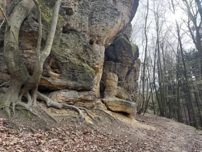 Foto z treku